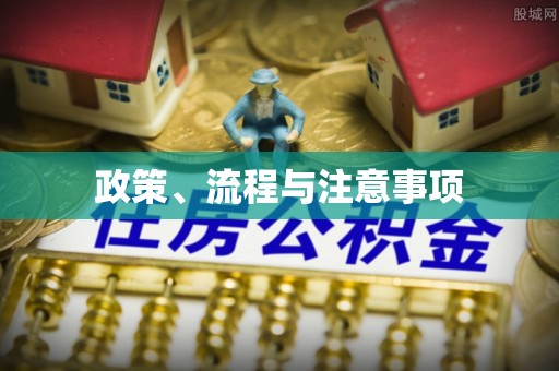 万柏林政策、流程与注意事项