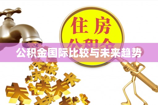万柏林公积金国际比较与未来趋势