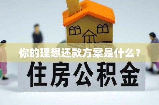 万柏林你的理想还款方案是什么？