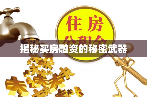 万柏林揭秘买房融资的秘密武器
