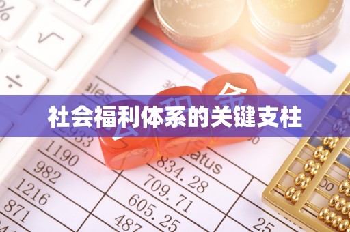 万柏林社会福利体系的关键支柱